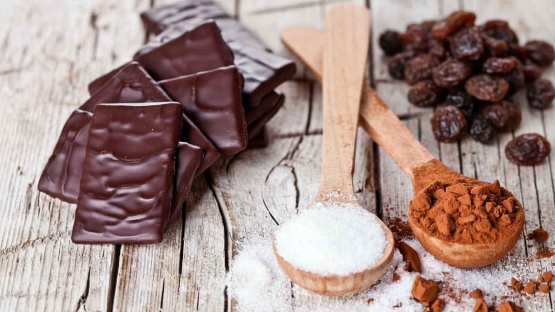 Dulces toxicos para perros